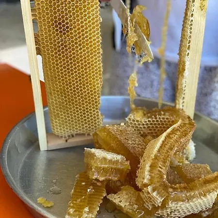 Meta - Welcoming With Byrek & Traditional Meals ベッド・アンド・ブレックファスト 4*