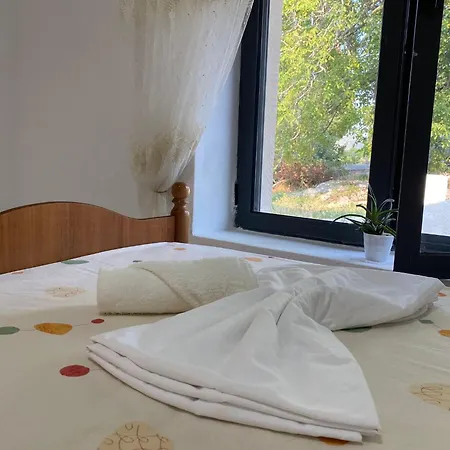 Bed & Breakfast Meta - Welcoming With Byrek & Traditional Meals