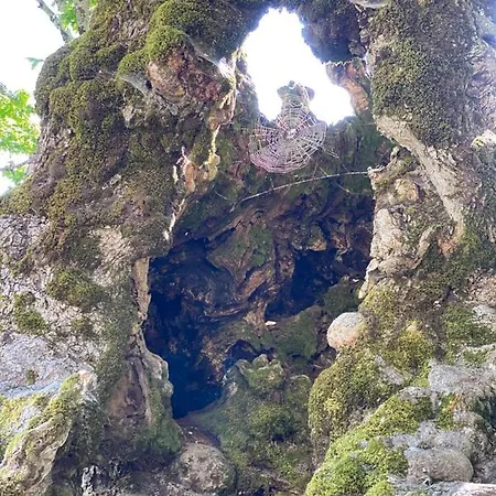 Bed & Breakfast Meta - Welcoming With Byrek & Traditional Meals