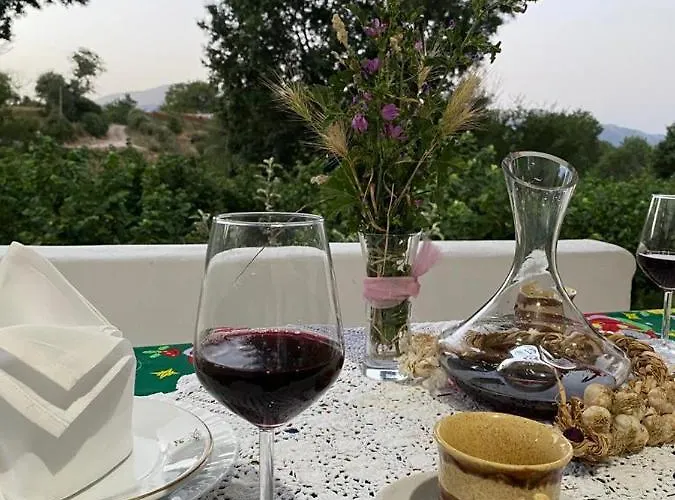 Meta - Welcoming With Byrek & Traditional Meals Couette-café 4*